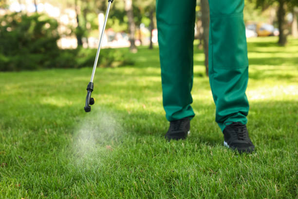 Best Bed Bug Extermination  in Cuero, TX