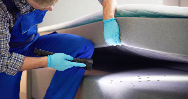Pest Prevention Services in Cuero, TX
