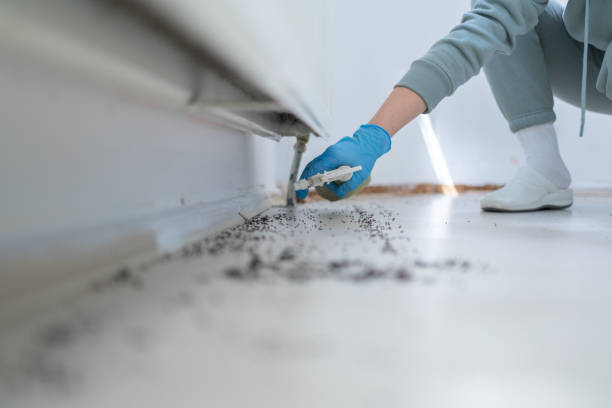 Best Best Pest Control Companies  in Cuero, TX