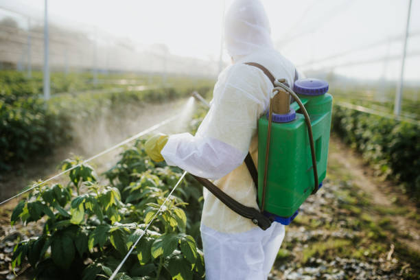 Professional Pest Control in Cuero, TX